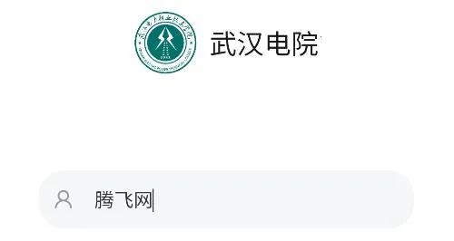 武汉电院(校园服务平台) 武汉电院(校园服务平台)