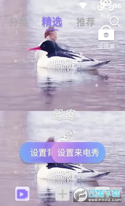��Ƶ����������(������������)