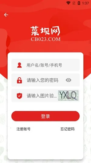 �˰���2025���°汾