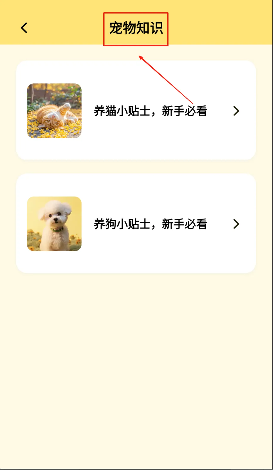 宠物派最新手机版 宠物派最新手机版
