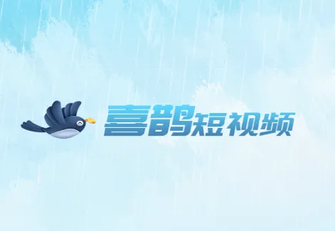 ϲȵ����Ƶ2026�ٷ�����