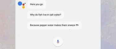 �ȸ��������������ֻ���