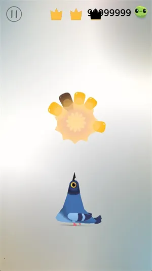 pigeonpop
