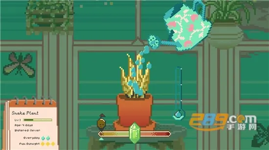 Window Garden