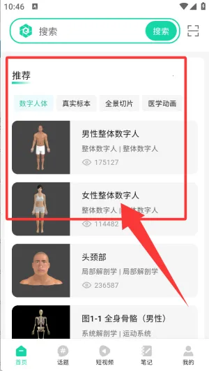 医维度解剖 医维度解剖