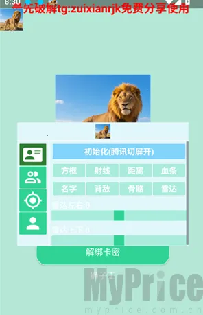 狮子王直装