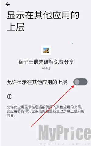 狮子王直装