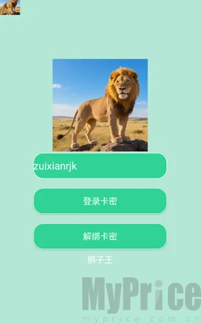 狮子王直装