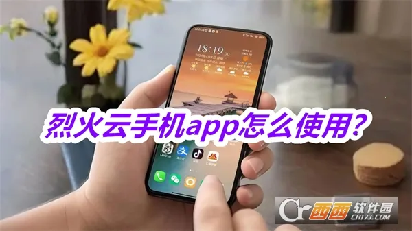 �һ����ֻ�����