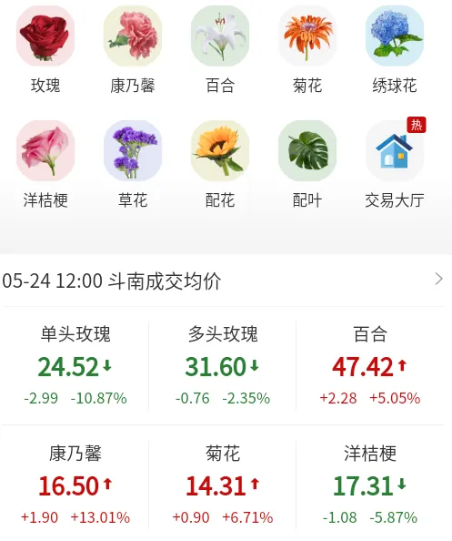 ����2026�ٷ����°汾