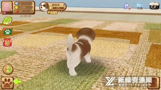 心动小狗(小狗养成游戏) 心动小狗(小狗养成游戏)