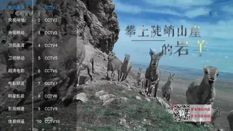 ����Ӱ��(Ӱ�Ӳ�������)