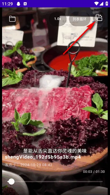 TikAlbum�ļ��в�����