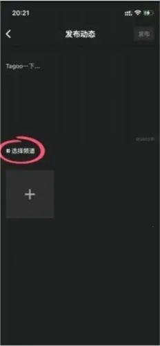 Tagoo2026���°汾