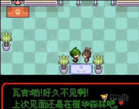 �ڴ�����Ů����2026���ذ�װ