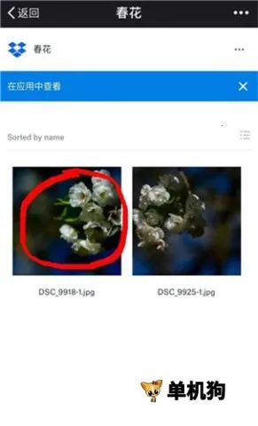 dropbox(云存储工具) dropbox(云存储工具)