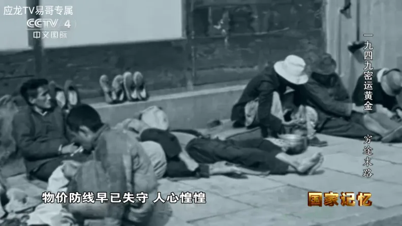 应龙TV电视版 应龙TV电视版