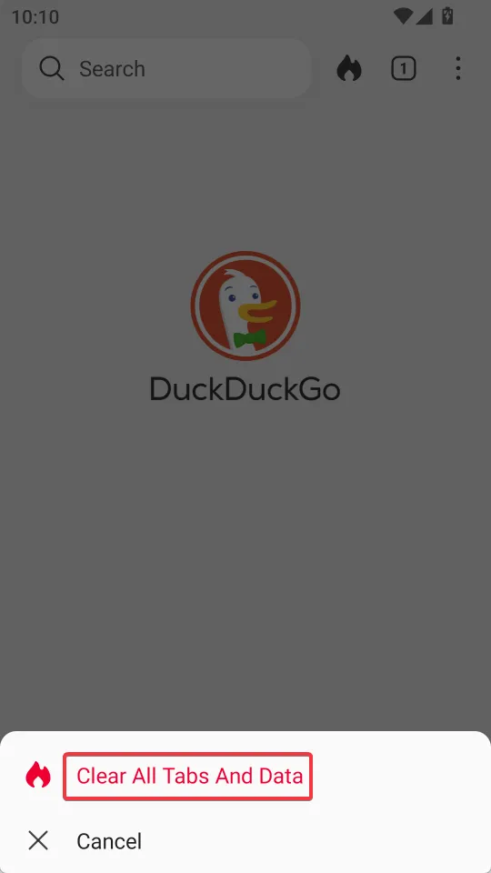 DuckDuckGo(��˽������������)
