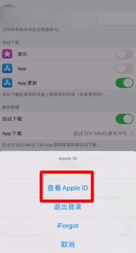 ƻ��Ӧ���̵�AppStore(Ӧ�ó���ƽ̨)