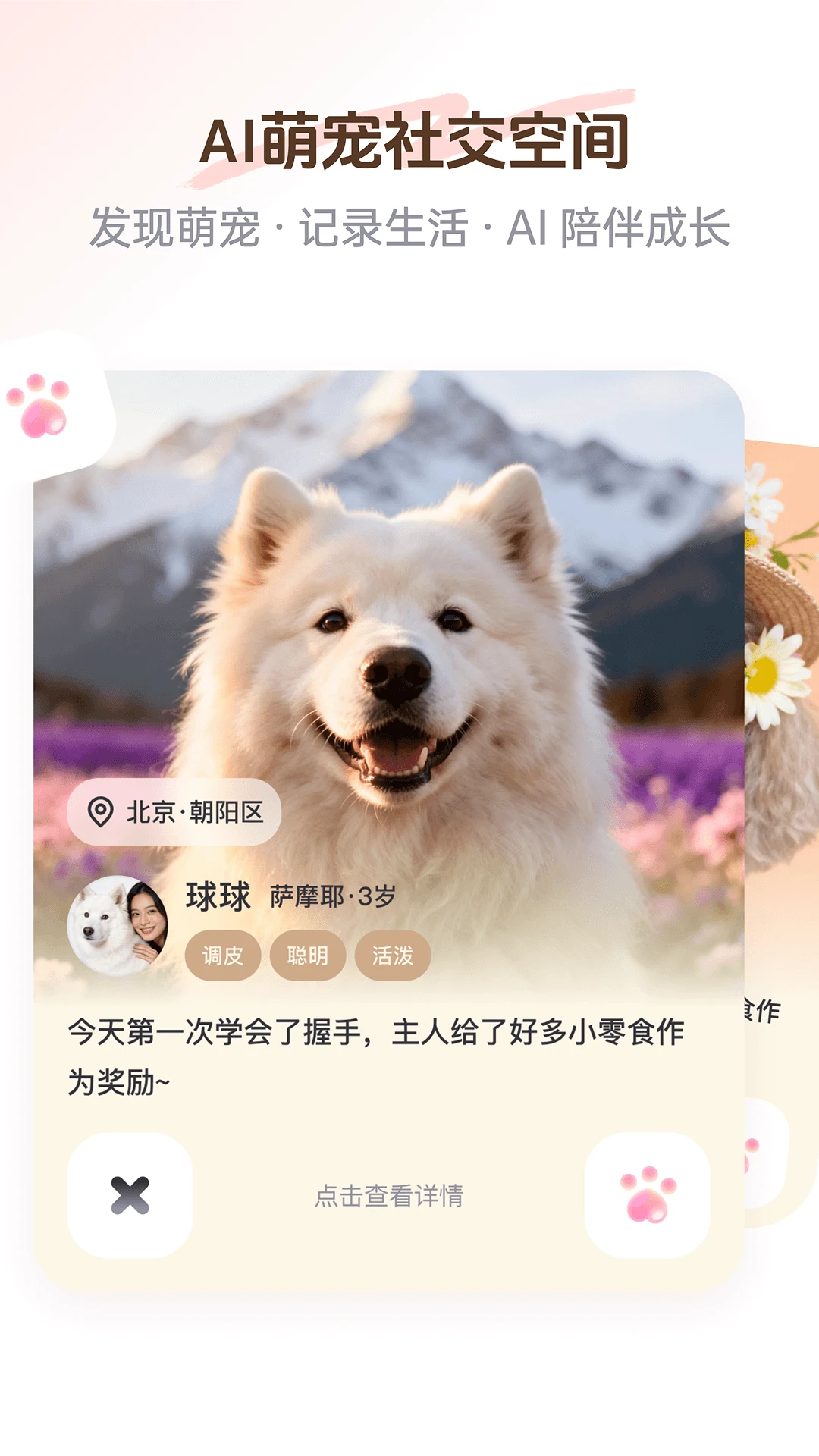PetSpace�����ֻ���