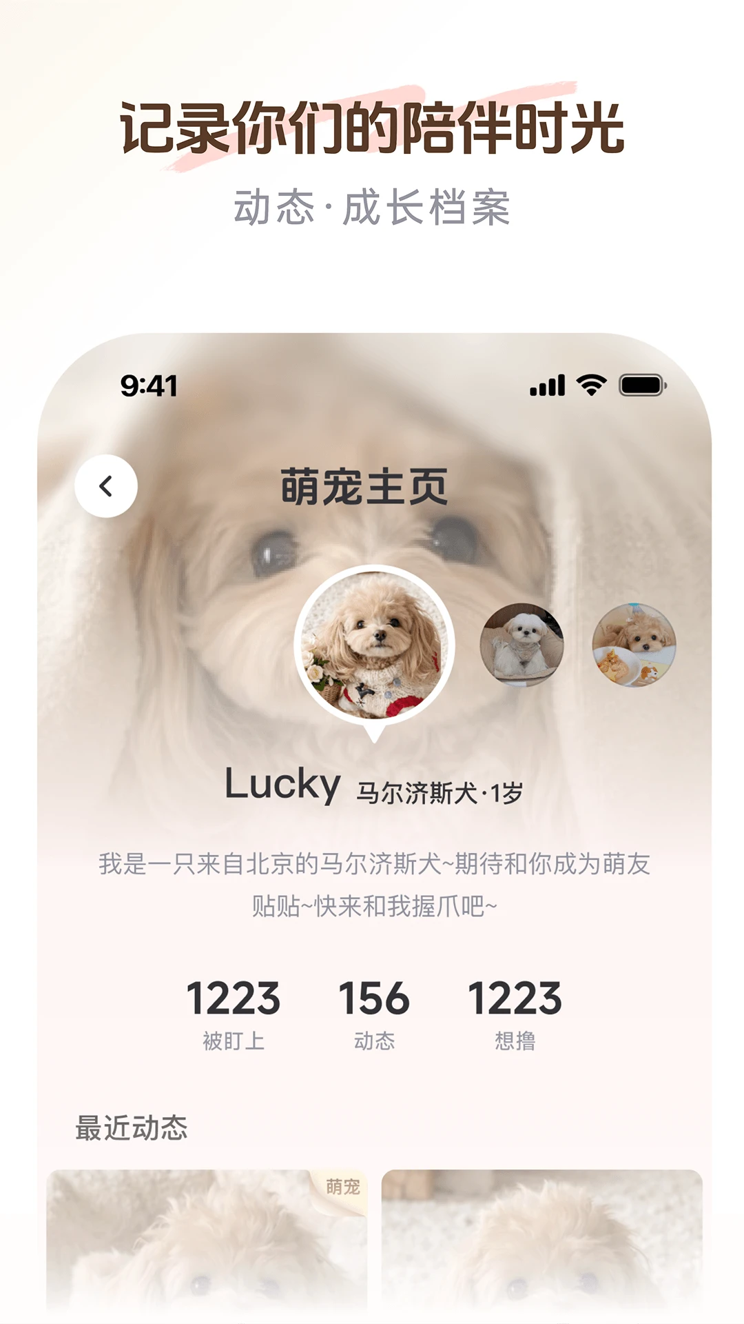 PetSpace�����ֻ���